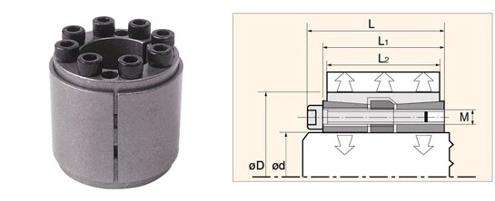 962281dd2cd4e3ba30205c9241c20680_1544594895_3359.jpg